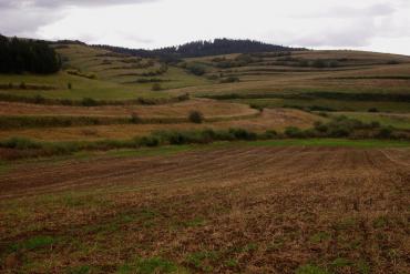 The agricultural terraces are typical for the surroundings of Odorica farm as well as nearby villages in the Medvedie Mountains and Levoča Mountains. © Martina Slámová.