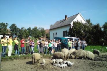 Visits to the farm including interactions with domestic animals provide valuable knowledge for the public as well as for children of primary and secondary schools. © Zuzana Homolová.