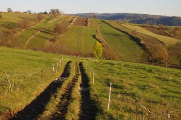 Small-scale plots of arable land, permanent grasslands and pastures together with non-forest woody vegetation near farm’s boundaries appear as distinctive features in the Podpoľanie region. © Martina Slámová.
