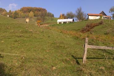 The apiary is located on a traditional farmland with scattered settlements in highlands of the Stolické Mountains in the Liešnica valley. The territory was marked by the past mining activity. © Martina Slámová.