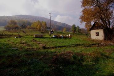 In addition to beehives, the typical rural atmosphere of the apiary is complemented by domestic animals. © Martina Slámová.