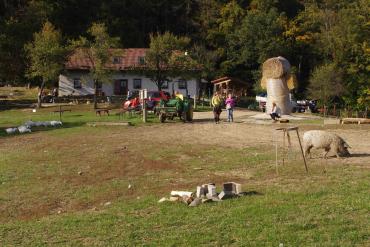 Restored farm building has retained typical features of a homestead characteristic for “kopanice”. During sunny weekends the farm is crowded with visitors. The most popular attraction for children and adults alike is tractor riding. © Martina Slámová.